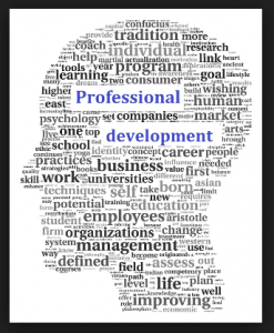 Professional Development Services